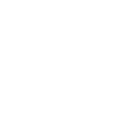 FM FINANCIAL