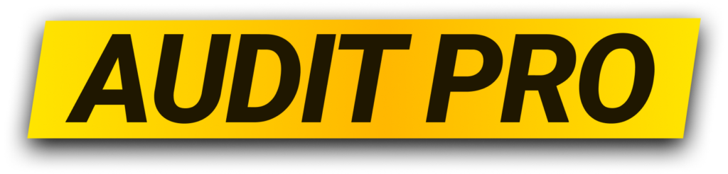 Mkt Audit PRO B GADS 1 AUDIT PRO