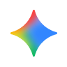 GEMINI ICON 1