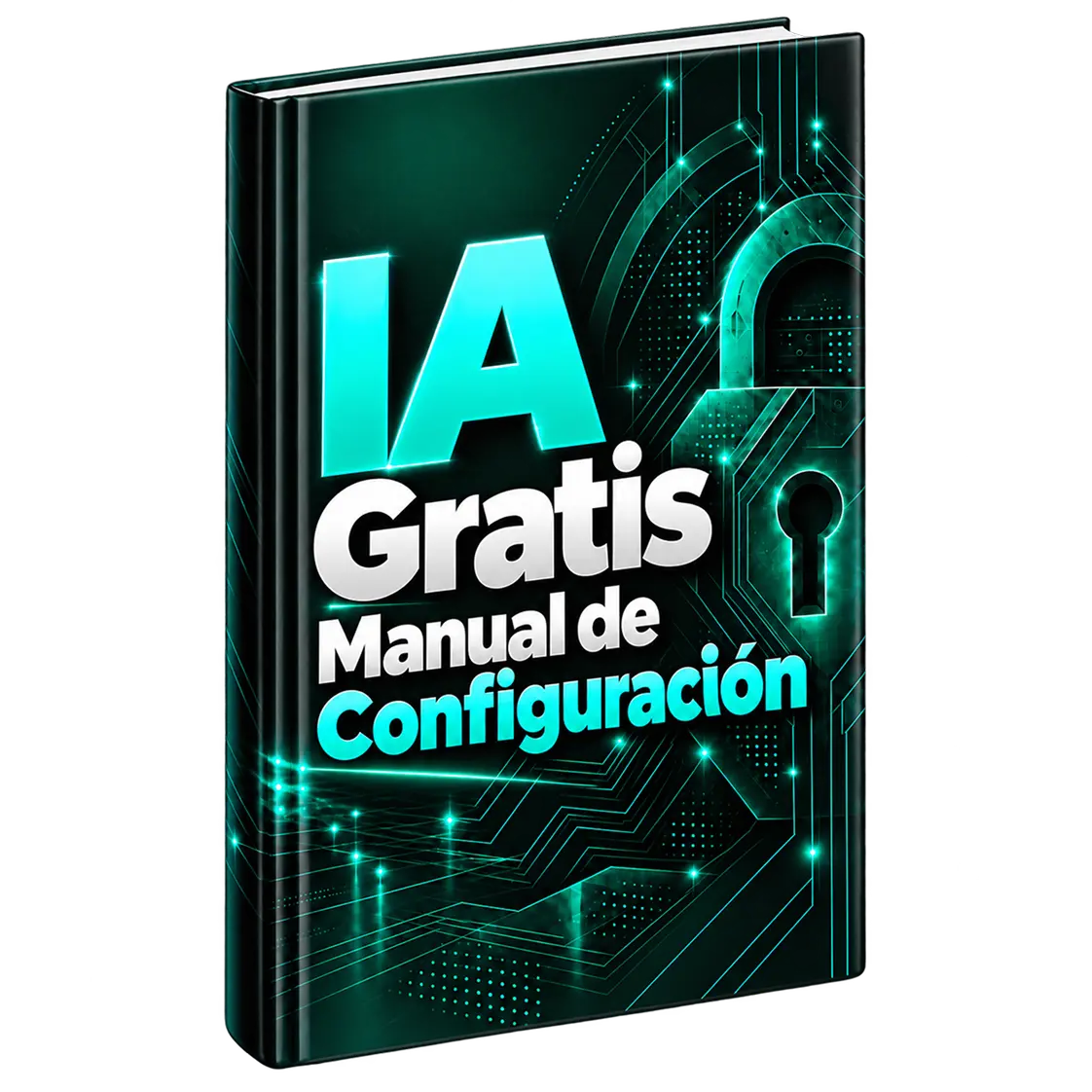 MCIB2 MANUAL IA